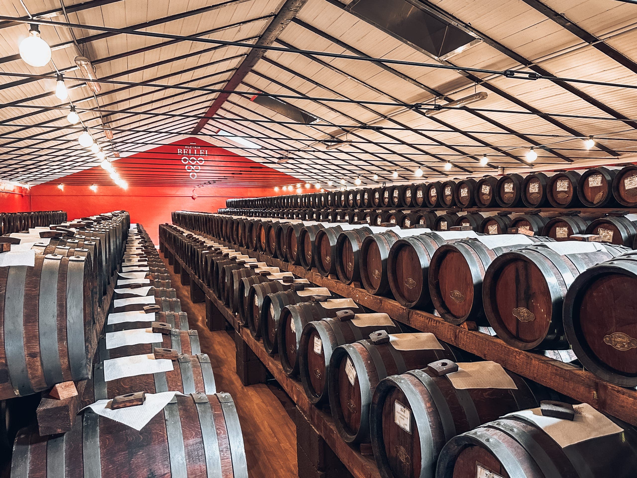 Emilia Romagna Food Trip: A Week by Train, Based in Modena